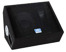 TLM 2X Floor Monitor