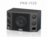 Vw_푌I(y)޹˾:FKS-1123
