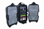 Vw_푌I(y)޹˾:Visa 300