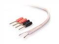 BELKIN侀AV23002zh1M PureAV 18,ؐ侀AV23002zh1M PureAV 18-----cŴ