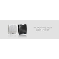 DSPPA(ʿ)V:MAG6463