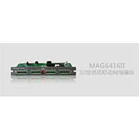 DSPPA(ʿ)V:MAG6416