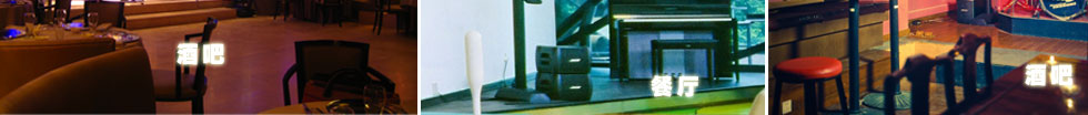 Bose L1 CompactʘUϵy(tng)l(f)